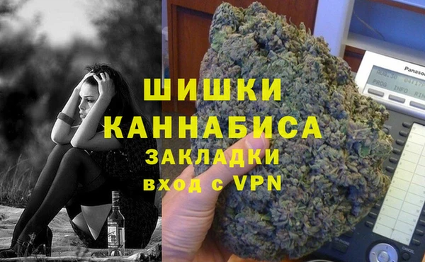 шишки Балахна